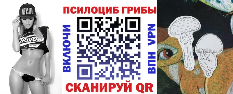 Псилоцибиновые грибы Cubensis  Купить где  Саратов 